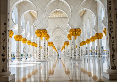 Sheikh zayed Camisi