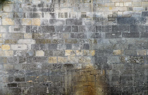 Vieux mur de pierre — Photo