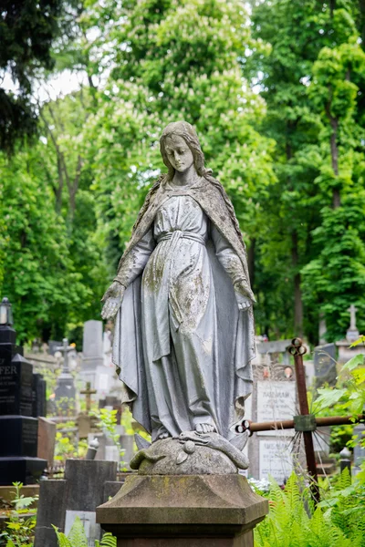 Lychakiv mezarlığı — Stok fotoğraf