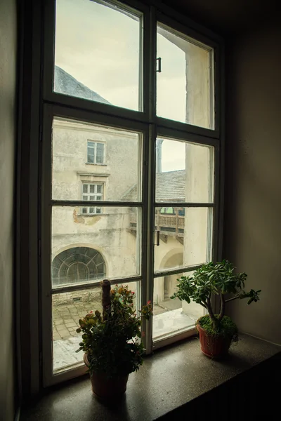 Window — Stock Photo, Image