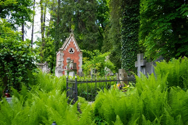 Lytschakiw-Friedhof — Stockfoto