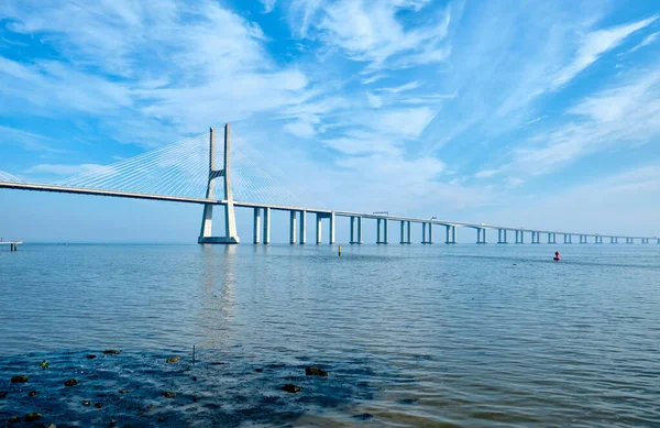 Vasco Gama Bridge Cable Stayed Bridge Lisbon Portugal — Stock Photo, Image