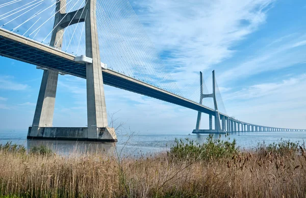 Most Vasco Gama Jest Most Kablowy Tagus Rzeki Lizbona Portugalia — Zdjęcie stockowe