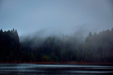 San Miguel Adası, Azores, Portekiz. Manzara. Volkanik bir gölün yakınındaki yeşil bir ormanın üzerinde kalın bulutlar..