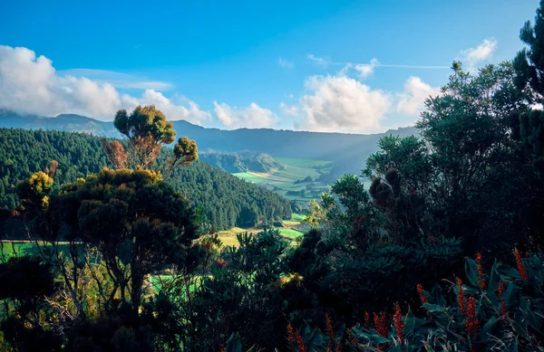 Beautiful Landscape Green Fields Hills Sao Miguel Island Green Island — Foto de Stock