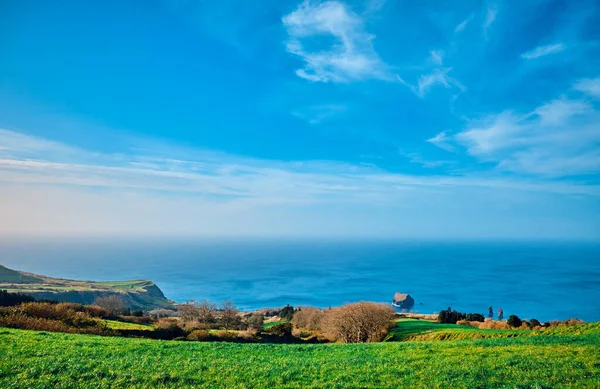 Île Sao Miguel Açores Portugal Paysage Pittoresque Surplombant Champ Vert — Photo