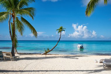 Boat on the shores of the Caribbean Sea under palm trees. Saona Island. Dominican Republic.