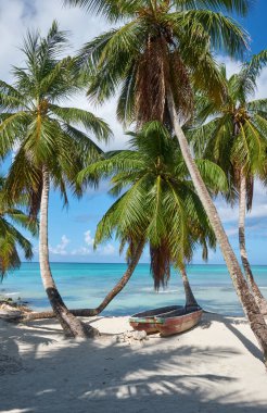 Deniz Burnu. Palmiye ağaçları olan güzel bir sahil. Karayipler 'deki Saona Adası. Dominik Cumhuriyeti.