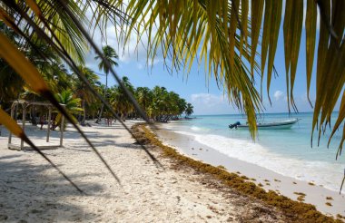 Boat on the shores of the Caribbean Sea under palm trees. Saona Island. Dominican Republic.