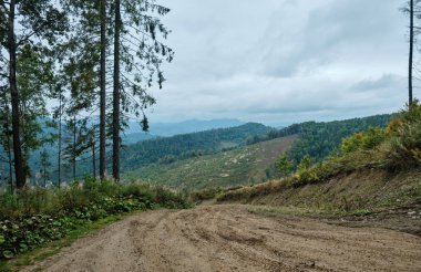 Sıradışı dağ toprak yolu. Karpat Dağları, Ukrayna.