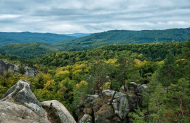 Dovbush harika. Ukrayna 'nın Karpat Dağları' ndaki dağ manzarası.