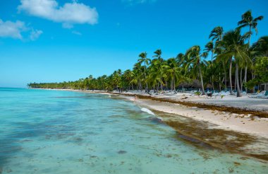 Deniz Burnu. Karayip Denizi 'ndeki Saona Adası' ndaki kumsal manzarası.