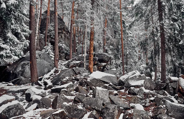 Big Stones Winter Forest Landscape Carpathian Mountains Ukraine — 图库照片