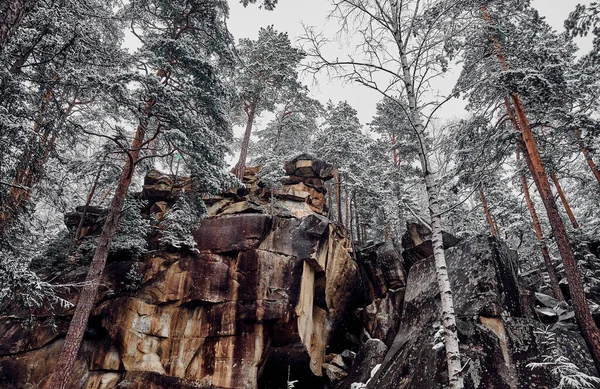 Beautiful landscape. Rock in the winter forest. Dovbush trail in the Ukrainian Carpathians.