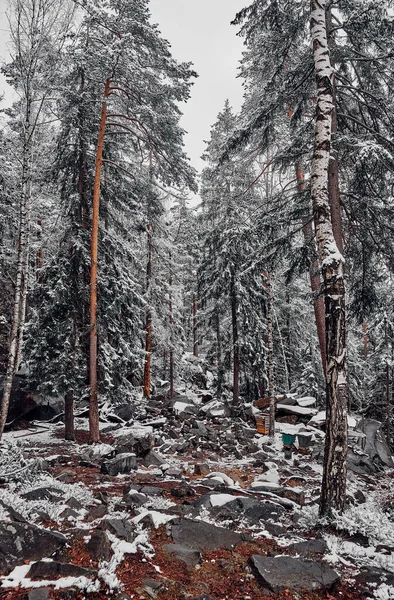 Beautiful Vertical Landscape Winter Mountain Forest Carpathian Mountains Ukraine — 图库照片