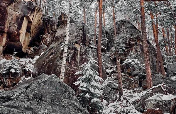 Rocks Winter Forest Mountain Landscape Carpathians Ukraine — 图库照片