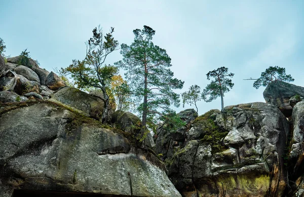 Dovbush Balança Paisagem Montanhosa Nas Montanhas Cárpatas Ucrânia — Fotografia de Stock