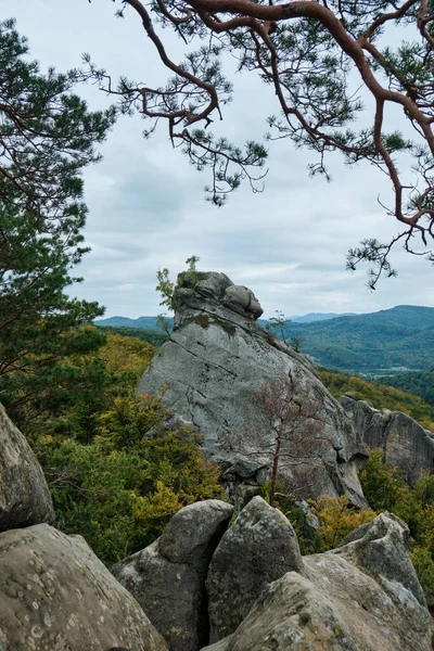 Dovbush Rocas Paisaje Montañoso Los Cárpatos Ucrania — Foto de Stock