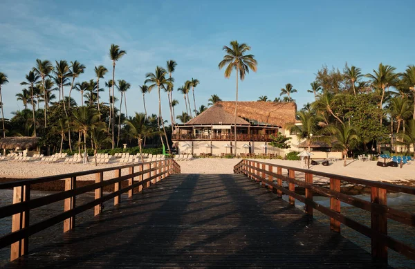 Sun Lounger Umbrella Tall Palm Trees Beach Punta Cana Dominican — 图库照片