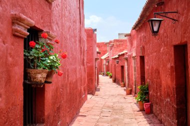 Santa Catalina de Siena Manastırı 'ndaki resim bahçesinde. Rica ederim, Peru..