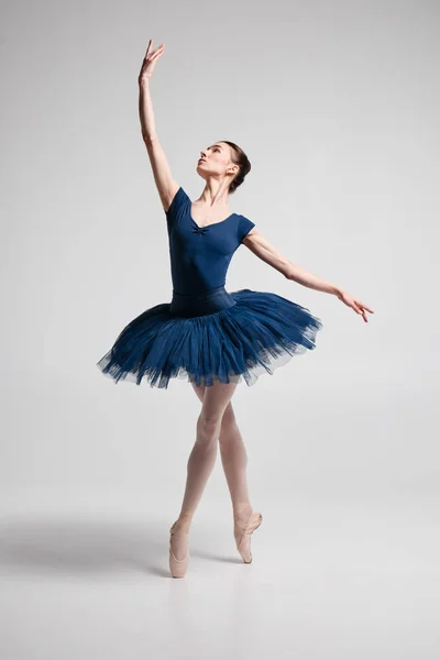 Beautiful slender ballerina in a ballet tutu posing in the studio.