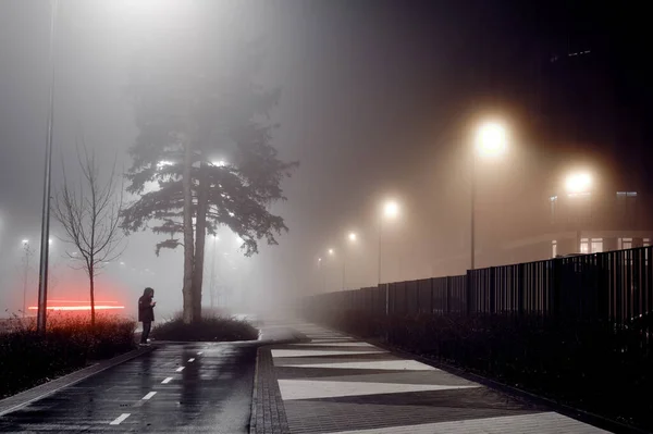 Man under a tree on the sidewalk at night in the fog.