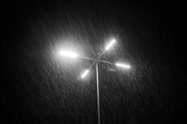 Snowfall Night Lamppost Dark — Stock Photo, Image