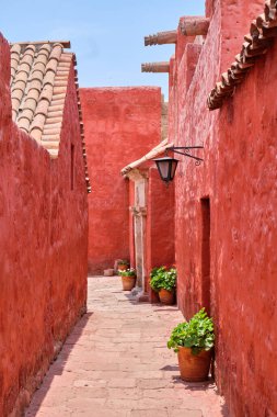 Santa Catalina de Siena Manastırı 'ndaki resim bahçesinde. Rica ederim, Peru..