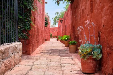 Picturesque courtyard in The Monastery of Santa Catalina de Siena. Arequip, Peru.