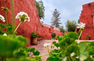 Santa Catalina de Siena Manastırı 'ndaki resim bahçesinde. Rica ederim, Peru..
