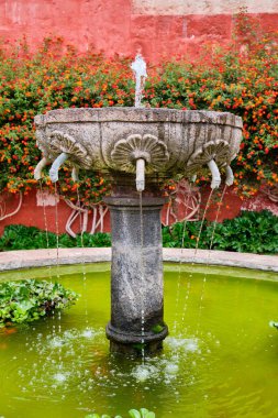 Santa Catalina de Siena Manastırı 'ndaki resim bahçesinde. Rica ederim, Peru..