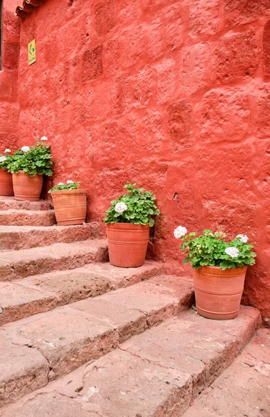 Flowerpot Monastery Santa Catalina Siena Arequip Peru — Stock Photo, Image