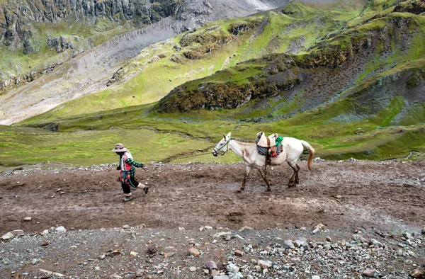 Local Resident Leads His Horse Road High Mountains Andes Peru —  Fotos de Stock