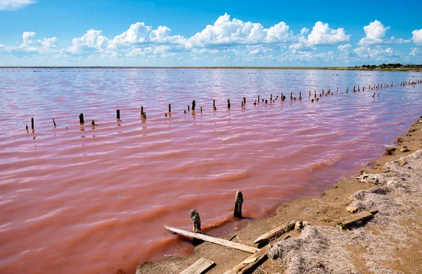 Genichesk Lake or Pink Lake is a salt lake in the Genichesk district of the Kherson region. Landscapes of Ukraine.