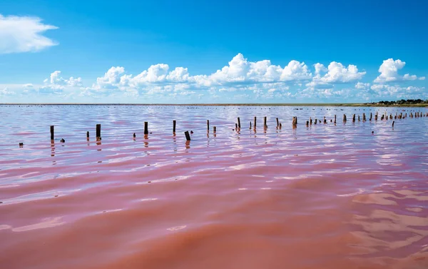Genichesk Lake or Pink Lake is a salt lake in the Genichesk district of the Kherson region. Landscapes of Ukraine.