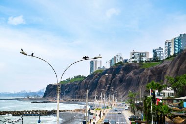 Okyanus kıyısındaki sokak lambasındaki kuşlar. Miraflores, Lima, Peru.
