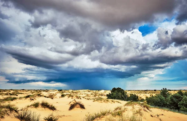 Tájkép Esőfelhőkkel Sivatag Felett Oleshky Sands Ukrajnában — Stock Fotó