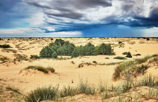 Landscape with rain clouds over the desert. Oleshky Sands in Ukraine.