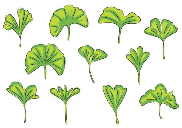 Hoja de Ginkgo — Vector de stock