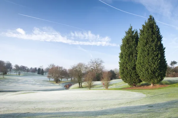 Terrain de golf d'hiver Images De Stock Libres De Droits
