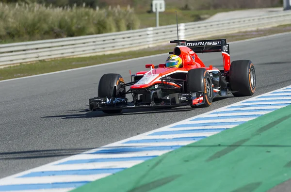 Marussia F1 színezék — Stock Fotó