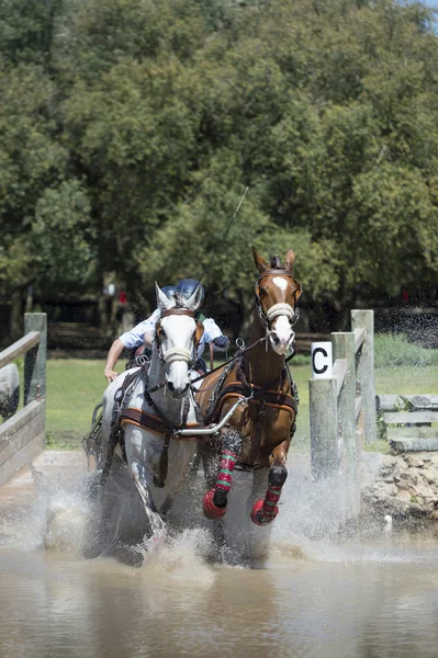 Paard rijden (dubbel) — Stockfoto