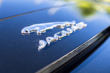 Jaguar Logo with Metalic Paint clipart