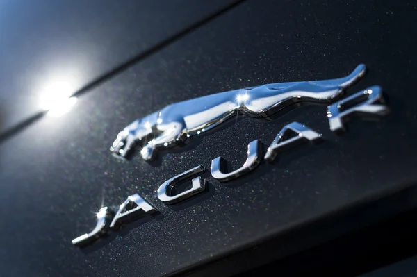 Jaguar logo met metalic verf — Stockfoto