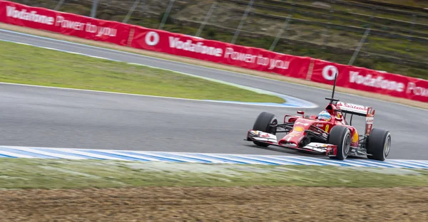 Fernando Alonso — Foto Stock