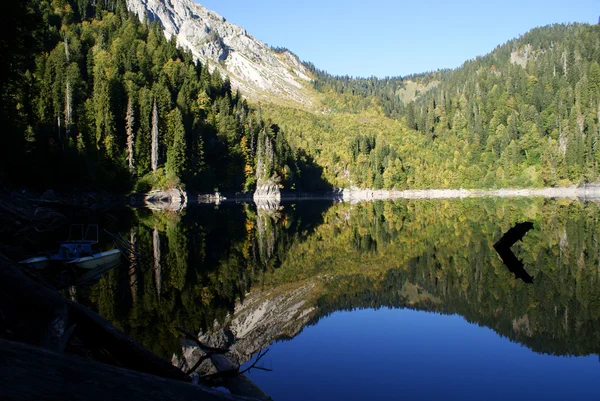 Reflexion — Stockfoto