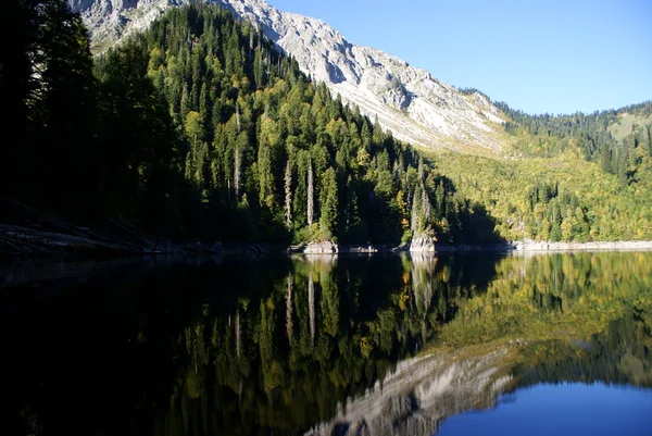 Reflexion — Stockfoto