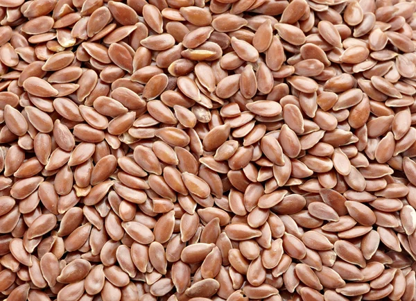 Semi di lino cereali dieta alimentare — Foto Stock