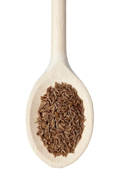 Caraway seasoning food ingredient — Stock Photo, Image