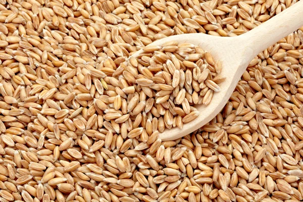 buğday tahıl diyet yemekleri